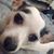 Joanne Hammond Benny's profile image