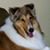 Roxanne Shaw's profile image