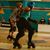 Sharon Goetz's profile image