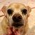 Lynn Malinowski DeHaven's profile image