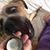Kaile Shafer's profile image