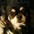 Peggy Locati's profile image
