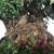 Christine Beausoleil's profile image