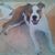 Christine Doeren's profile image