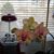 Edie Ethridge's profile image