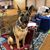 Michelle Rogalsky Addison's profile image