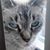 Lynette Schellie's profile image