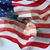 Jeff Schuetz's profile image