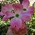 Sara Matthews's profile image