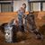 Jaimie DeClue's profile image