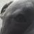 Luis A Colin's profile image