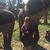Lorna Kooiker's profile image