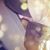Missoum Missuom Fatima's profile image