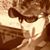 Kelsey Holloway's profile image