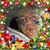 Terri Shannon's profile image