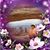 Cassie Vogel Kotter's profile image