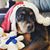 Jacey Becker's profile image