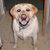 Joanne T. Stolarz's profile image