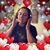 Lori Vaught Kraynak's profile image