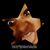 TeQuita Hall's profile image