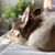 Sue Brendel Baehr's profile image