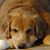 Peggy Henry Zionts's profile image