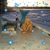 Lynne Besse's profile image