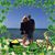 Geri Morgan DiGiovanni's profile image