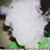 Shasta S. Heart's profile image