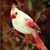 Mary Rochevot Williams's profile image