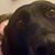 Kate Pritchett's profile image