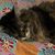 Tina Yeager's profile image