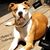 Debbie Rouse's profile image