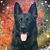 Jodi Bobin's profile image