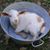 Julie Slyzelia's profile image