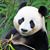 Robert W. Anderson's profile image