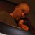 Michelle Gergen's profile image
