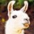 Sharon Crooke Kimmel's profile image