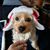 Jenny Presby's profile image