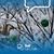 Sharon Del Frari's profile image