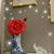 Diane Ellingson Jones's profile image