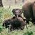 Karen Bingham's profile image