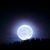 Guadalupe Gonzalez's profile image