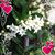 Estrellita Barin's profile image