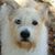Linda Staack Edwards's profile image