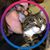 Brenna McAfee's profile image