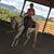 Julia Malone's profile image