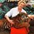 Carol Austin Snowden's profile image