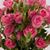 Blanca Monroy's profile image