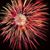 Thomas Mastro's profile image